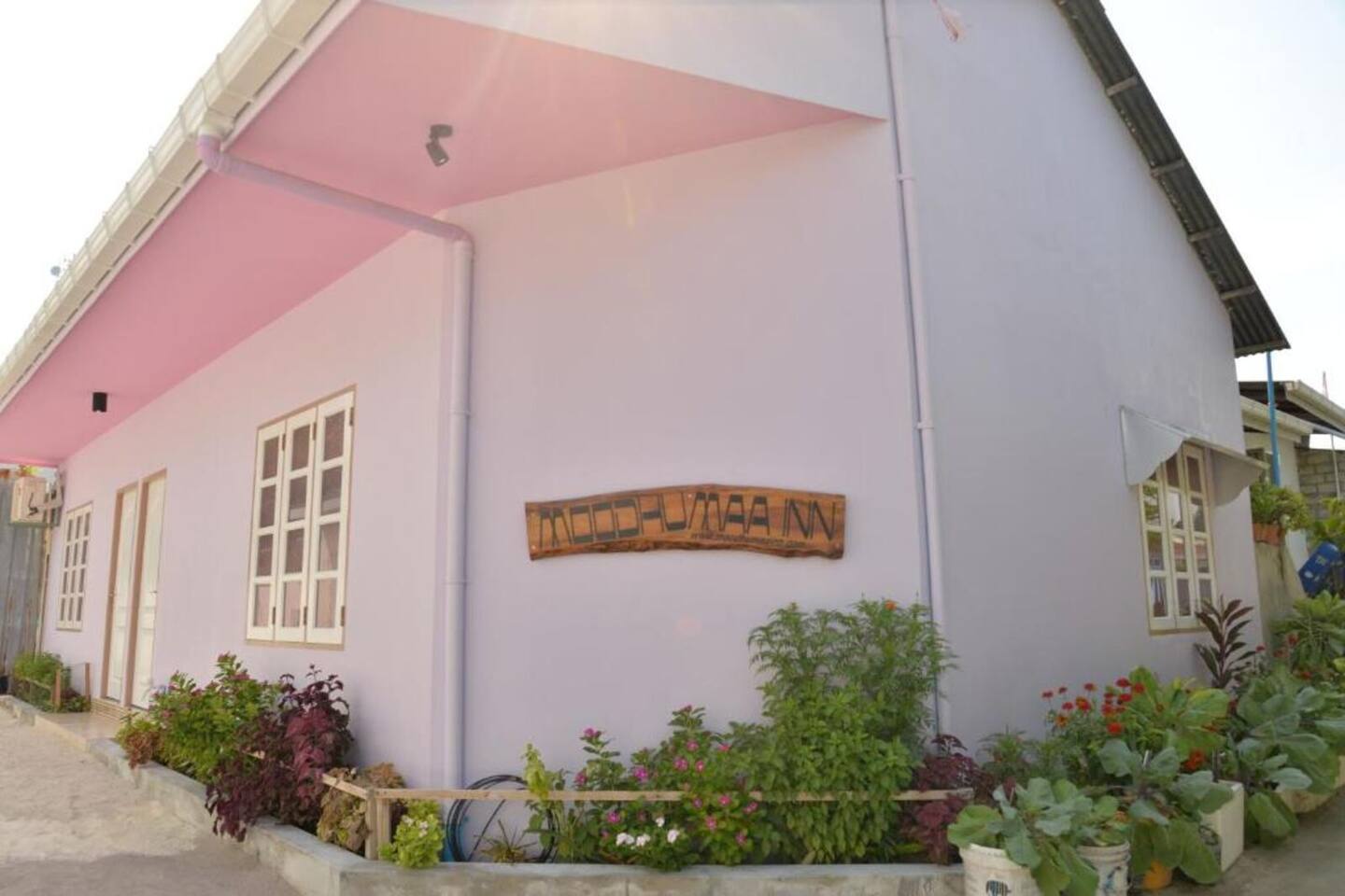 Moodhumaa Inn entrance with tropical flowers in Guraidhoo